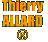 Thierry Allard